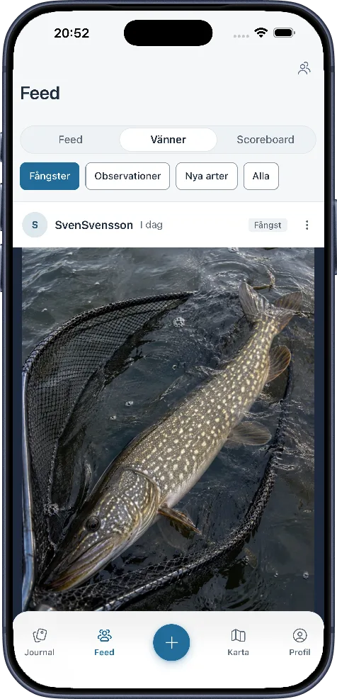 Vänflödet i MinFångst med fångster och nya arter
